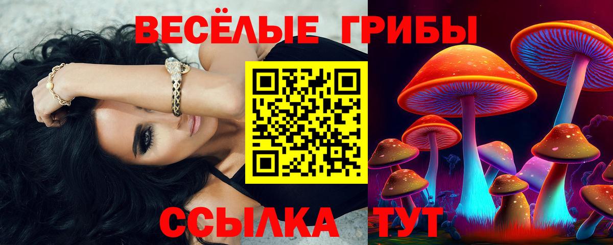 Псилоцибиновые грибы мухоморы Котовск