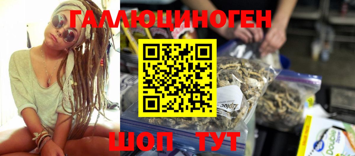 Котовск  Галлюциногенные грибы прущие грибы  Вход с VPN 